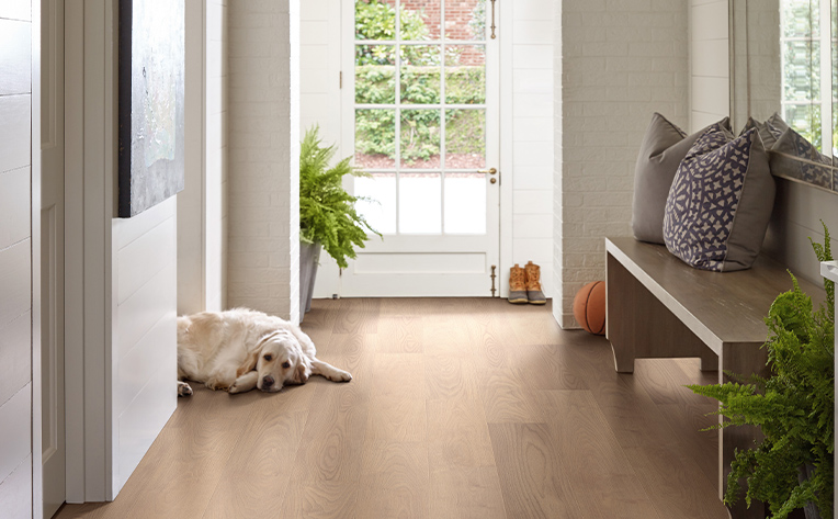 luxury vinyl entryway with dog